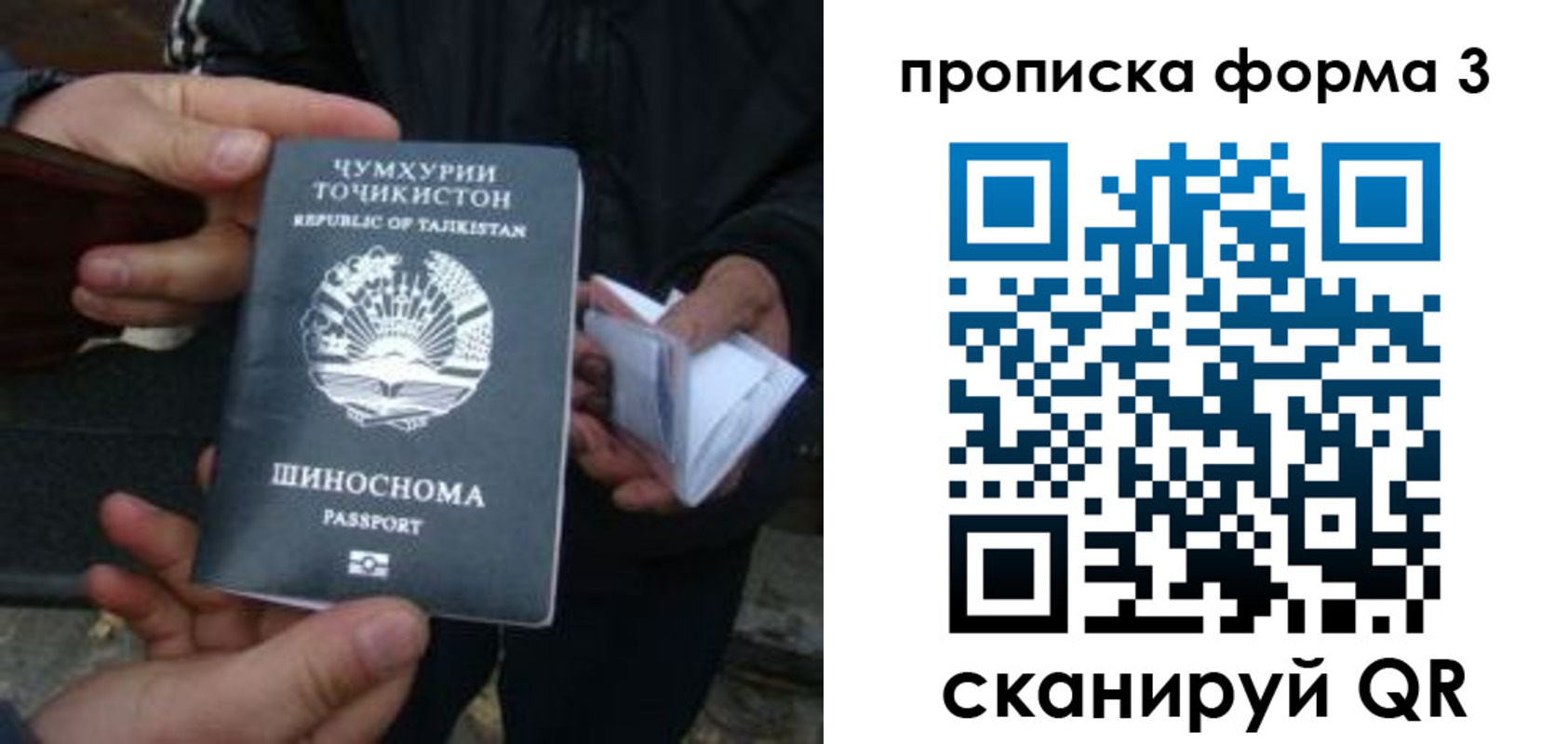 прописка 2025 в Вязьме